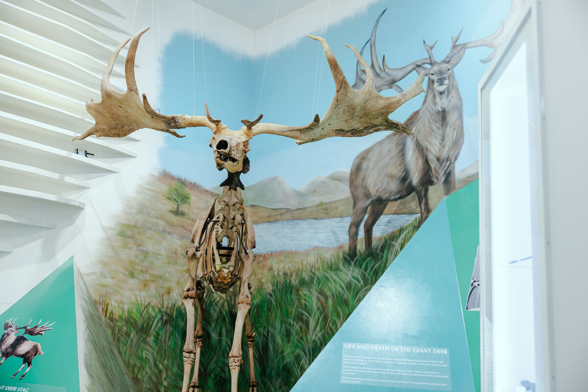 Indoor activities Isle of Man Manx Museum